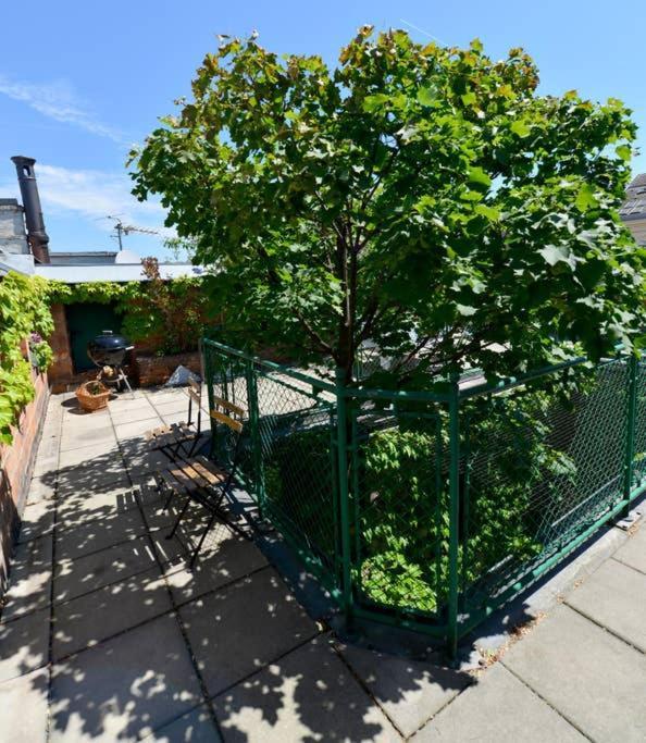Green Haven Roofgarden Penthouse In Central Area Відень Екстер'єр фото