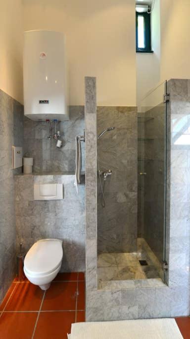 Green Haven Roofgarden Penthouse In Central Area Відень Екстер'єр фото